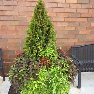 Meet your Posher, Annie